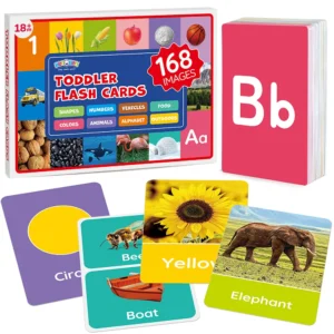Toddler Learning Flash Cards